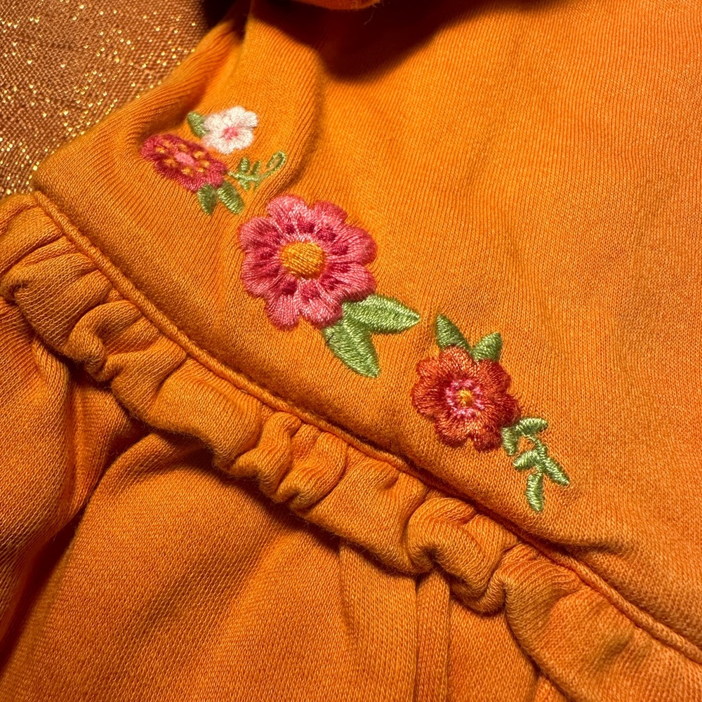 Gymboree Fall Jacket - Picture 3 of 4